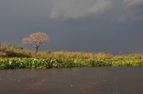 Passeio de barco no rio Paraguai, na região de Corumbá, no Mato Grosso do Sul